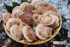 扇贝肉上一坨黑色是屎吗