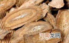 牛蒡根不适合哪些人喝