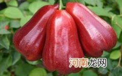 孕妇吃莲雾有什么好处