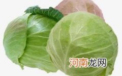 卷心菜孕妇能吃吗
