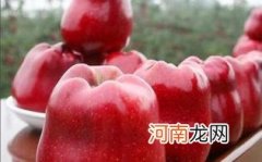 蛇果孕妇吃了有什么好处