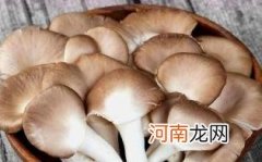 孕妇能吃秀珍菇吗
