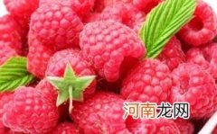 覆盆子茶什么时候开始喝