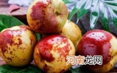 青枣子吃多了的后果