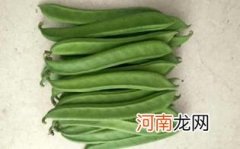 孕妇可以吃刀豆吗