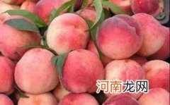 孕妇可以吃毛桃吗