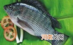 孕妇吃罗非鱼有什么好处