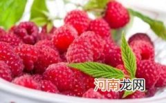 黑树莓孕妇可以吃吗