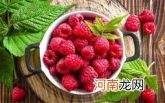 孕妇可吃树莓吗