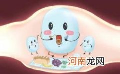 孕妇能喝乳酸菌饮料吗