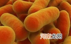 肠炎可以喝乳酸菌吗