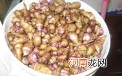 常吃鬼子姜的危害