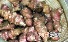 常吃鬼子姜有什么危害