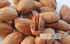 孕妇可以吃碧根果吗