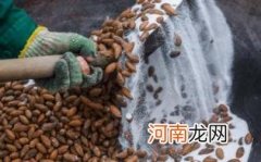 什么人不适合吃香榧子