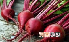 孕妇吃甜菜的好处