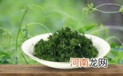 绞股蓝泡水喝有6大禁忌