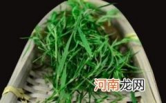 什么人不适合喝石竹茶