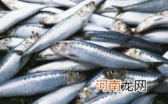 吃沙丁鱼有什么作用