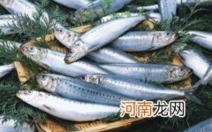 沙丁鱼有哪些营养价值