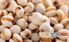 薏苡仁什么人不能吃