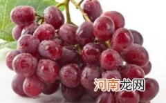 孕妇能吃红提吗