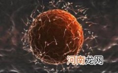 卵子和精子结合的反应