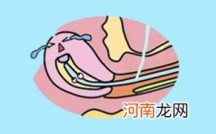 生男生女清宫图准吗