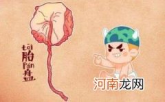 胎盘钙化什么意思