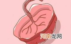 胎盘一般如何处理