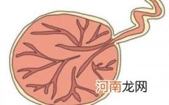 如何防止胎盘继续钙化