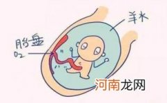 前置胎盘的饮食禁忌