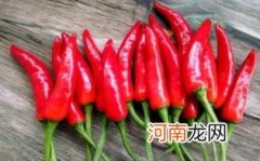 怀孕了能吃红椒吗