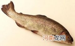 什么人不可以吃鲑鱼