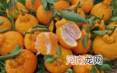 丑橘孕妇血糖高可以吃吗