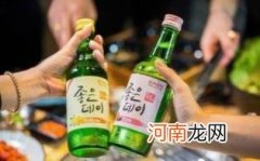 杨梅烧酒的作用