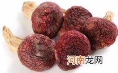 红菇有什么功效与作用