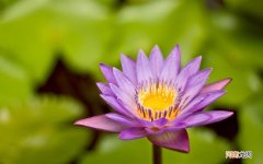 宝宝退了烧还吃药吗 发烧刚好不能吃什么东西