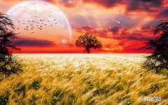 河蟹怎么处理干净 河蟹怎么洗才能洗干净