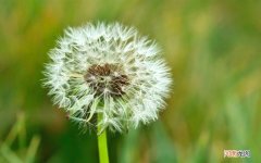 炒熟的螃蟹放冰箱能保存多少天 熟螃蟹放冰箱5天能吃吗