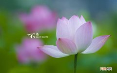 寒湿太重能晚上艾灸吗 艾灸晚上10点可以做吗