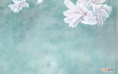 金毓婷避孕药的副作用是什么呢 我女朋友吃了毓婷会宫外孕吗