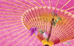火龙果是低糖还是高糖 血糖高吃火龙果好不好