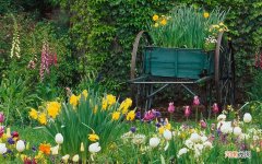 怎么教会男朋友独立做饭 怎么给老公做吃的