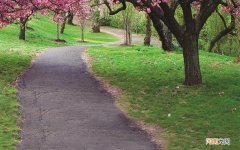 国人对健康会有怎样的认识 谈谈你对健康的认识与体会