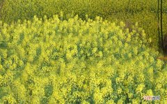 阴阳失调和体虚该怎么治 女人阴阳两虚怎么调理最好