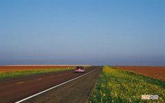 感冒吃猪肉可以吗 感冒是不是不能吃肉