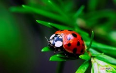 女人四十五岁身上时不时出汗是怎么回事 47岁经常一阵一阵出汗