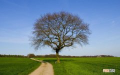 女性身体湿气寒气重怎么办 女人祛湿寒的方法