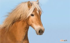 欧雪彤医用冷敷贴面膜好用吗 面膜可以改善皮肤粗糙吗